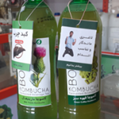 شربت-کامبوچا