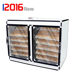 دستگاه-2016-تایی-اسکندری