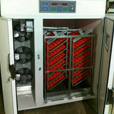 دستگاه-جوجه-کشی-1200-تایی-مرغ