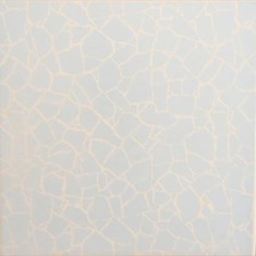 سرامیک-طرح-گل-سنگ-آبی-25-25