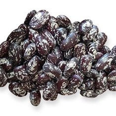 لوبیا-چیتی-صنعتی