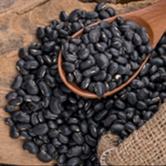 لوبیا-سیاه