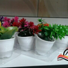 گل-مینیاتوری