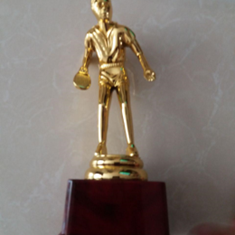 تندیس-پینگ-پنگ