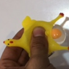 جاسویچی-مرغ-تخم-گزار