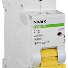 کلید-مینیاتوری-تا-125-آمپر-تیپ-Ex9B125
