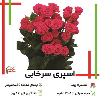 گل-رز-اسپری