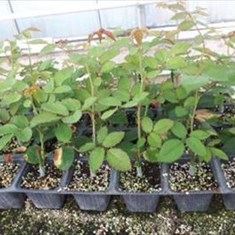 اطلاعات-بیشتر