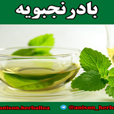 دمنوش-بادرنجبویه