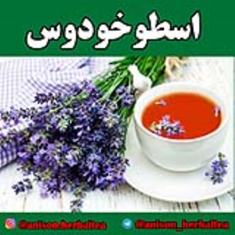 دمنوش-اسطوخودوس