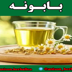 دمنوش-بابونه