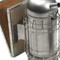 دودی-زنبورداری