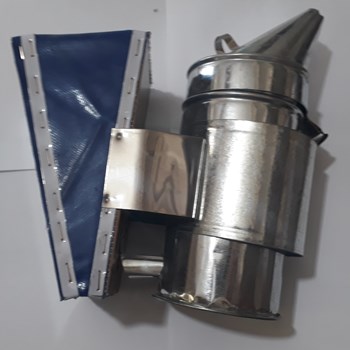 دودی-زنبورداری