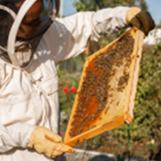 لباس-زنبورداری-کلاه-فضایی