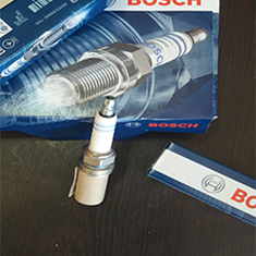 شمع-بوش-روسی