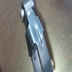 دو-شاخه-رام