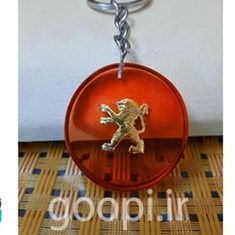 خرید-جاسوییچی-پژو-طلاکوب-جاسویچی-خاص-و-فانتزی-مجله-گوپی