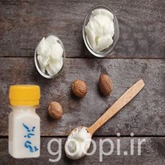 قیمت-و-خرید-روغن-شی-باتر-ارگانیک-خواص-روغن-شی-باتر-مجله-گوپی