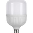 لامپ-حبابی-استوانه-ای-50-وات-SL-STF