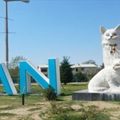 تور-وانزمینیون-تــرک