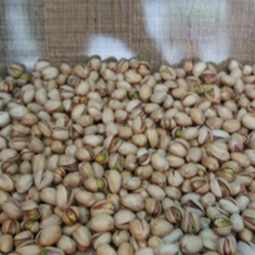 پسته-فندقی-دست-چین