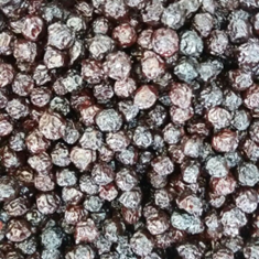 آلبالو-خشک،ترشک-آلبالو،ترشک-زردآلو