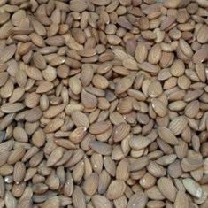 مغز-بادام-آمریکایی-درشت