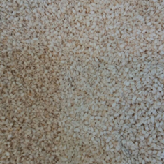 کنجد-سفید-و-مشکی-اعلا