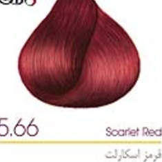 رنگ-مو-رویال-آتوسا