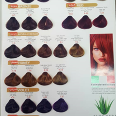 کاتالوگ-رنگ-مو-لی-لی-نایت