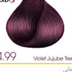 رنگ-مو-رویال-آتوسا