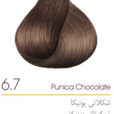 رنگ-مو-رویال-آتوسا