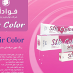 رنگ-مو-سلیک