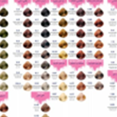 رنگ-مو-سلیک