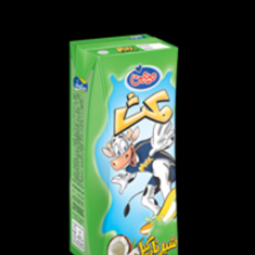 شیر-نارگیل-200-سی-سی-میهن