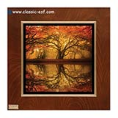 تابلو-لوتوس-مدل-FWB-60-60-A