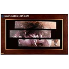 تابلو-مدل-لوتوس-FWB-3P-100-60-B