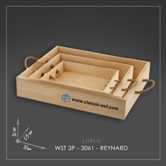 سینی-لوتوس-کد-30613p