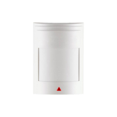 چشمی-دزدگیرطرح-پارادوکس