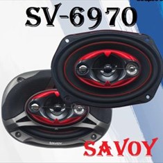 باندساووی6970