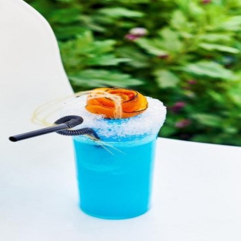 کافه-رستوران-ناژخوانناژلند