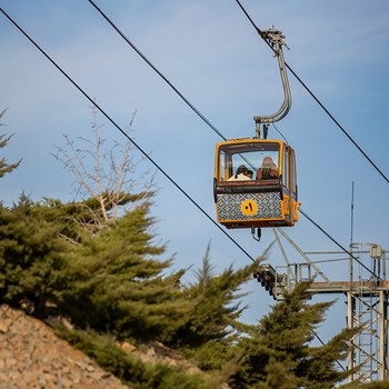 تله-کابین-صفه