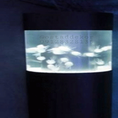 اکواریوم-عروس-دریایی