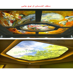 سقف-کشسان-از-نوع-چاپی-و-تصویری