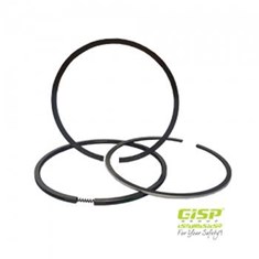 رینگ-پیستون-استاندارد-پژو-206-تیپ-5-GISP