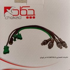 سنسور-اکسیژن-رانا-طوسیسوکت-بیضیچکاد