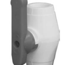 شیر-مغزی-برنجی