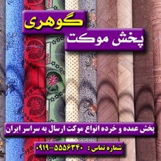 پخش-موکت-عمده