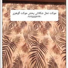 موکت-نخل-شکلاتی