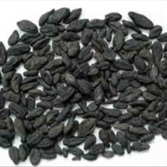 هلیله-سیاهکیلو